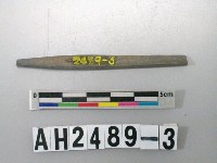 藏品(磨製石針)的圖片